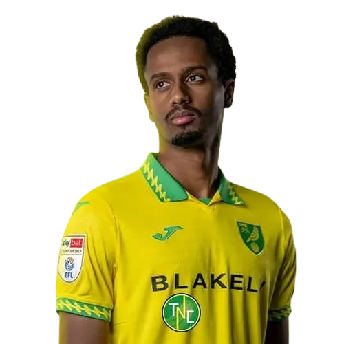 Ali Ahmed