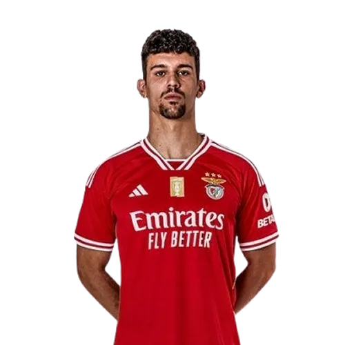 Tomás Araújo