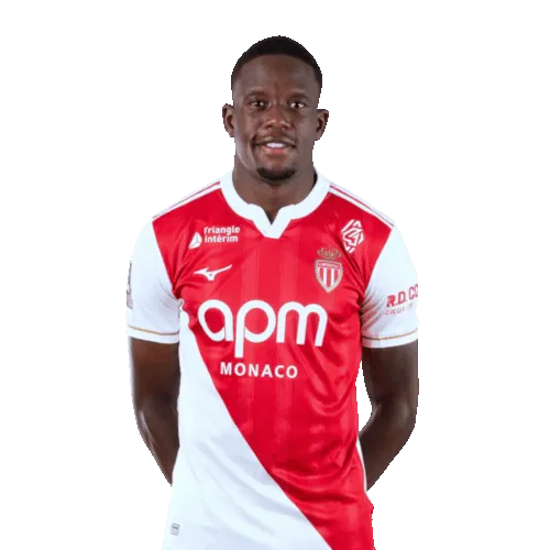 Denis Zakaria